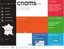 Tablet Screenshot of cnams.fr